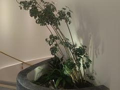 -手佳按摩·足疗·艾灸(博物院中山陵店)