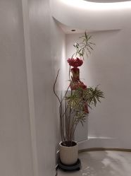 -WENDY·温迪皮肤管理