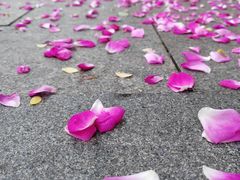 -荣昌花园