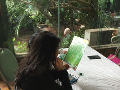 -火烈鸟餐厅