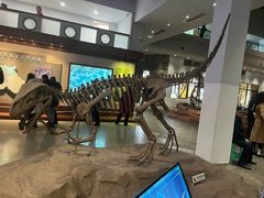 -自贡恐龙博物馆