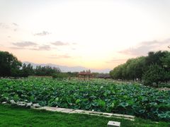 -东方苑自助餐厅(稻香湖景酒店)