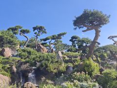 -罗红摄影艺术馆