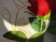 -壹迦桌游·血染钟楼剧本杀狼人杀