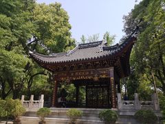 -汇龙潭
