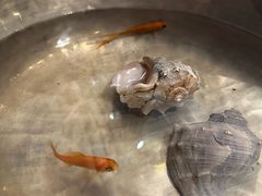-悦融·京鲁菜·露台花园(安定门店)