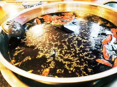 红油锅底-飘香火锅(玉林西路店)