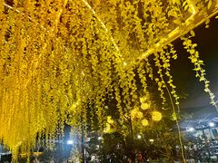 -张鸟园农家乐(张鸟园店)