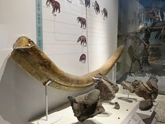 -国家自然博物馆