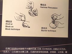 -北京周口店北京人遗址博物馆
