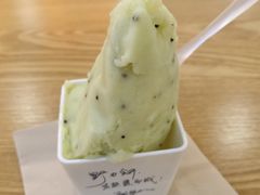 眉县猕猴桃冰淇淋-野人先生Gelato(上海长宁龙之梦店)