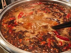 -一斗火锅·招财羊毛肚(北温泉九号店)