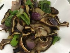 -谭家菜农夫山庄