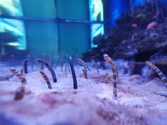 -成都浩海立方海洋公园