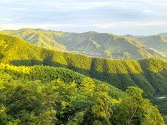 -莫干山风景区