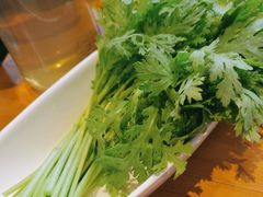 -手选潮汕鲜牛肉火锅(二七广场店)