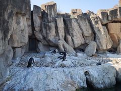 -上海野生动物园