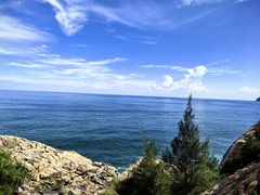 -广东惠东海龟国家级自然保护区