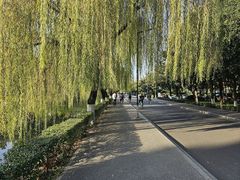 -西南交通大学(九里校区)