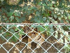 -辛玛王国游乐园