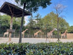 -上海野生动物园