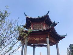-江南天池