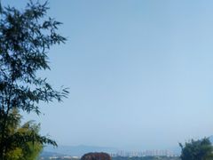 -福建鲤鱼洲酒店