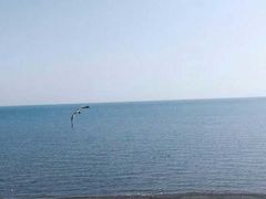 -青海湖国家重点风景名胜区售票处