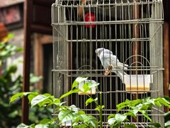 -束河人家(南锣鼓巷店)