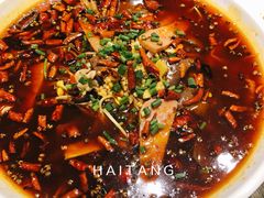 毛血旺-庆合府重庆大排档(紫都城店)