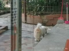 -瑞派宠物医院(锦江店)