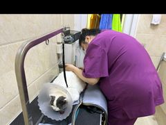 -美联众合动物医院·24h京西诊疗中心