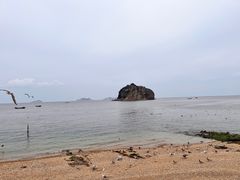 -棒棰岛宾馆景区