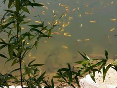 -蓝海国际大饭店·蓝钻自助百汇(兰山店)