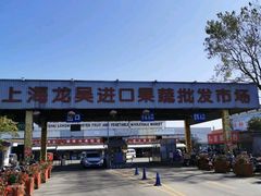 -上海龙吴水胜海发市场