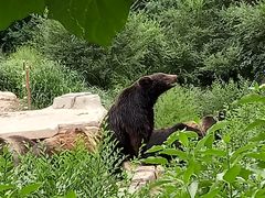 -沈阳森林动物园