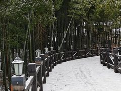 -树山生态村