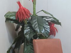 -广州海鲜酒楼(长丰园店)