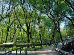 -西湖风景区-江洋畈生态公园