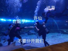 -华夏文旅海洋公园