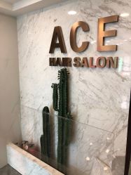 -ACE造型