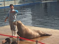 -北戴河圣蓝海洋公园