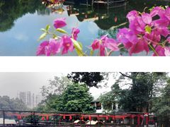 -荔湾湖公园