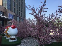 -紫荆广场·花漫里