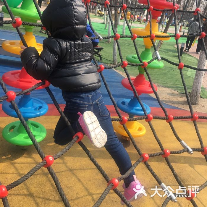 蓝杉树国际幼儿园