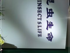 -上海昆虫博物馆