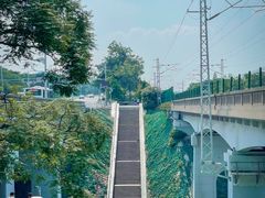 -黄鹤楼