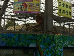 -西安秦岭野生动物园