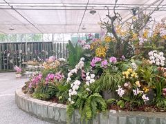 -上海鲜花港