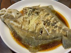 清蒸多宝鱼-韩记海鲜饺子旗舰店(红海新区店)